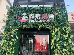 -糯米喵星人总部直营旗舰店·猫舍·幼猫出售
