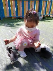 -萌宠亲子动物乐园(槐房万达店)