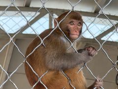 -西霞口神雕山野生动物世界
