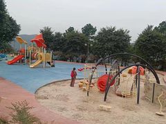 -铁山坪森林公园