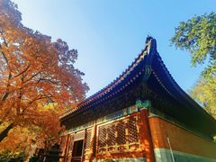 -香山公园