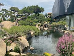 -罗红摄影艺术馆