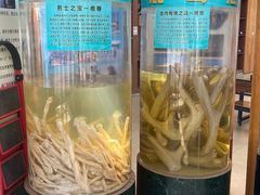 -北京鹿世界主题园