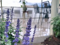 -翠田Green Field Kitchen