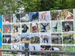 -西霞口神雕山野生动物世界