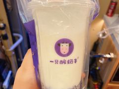 -一只酸奶牛(八一路店)