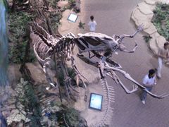 -自贡恐龙博物馆