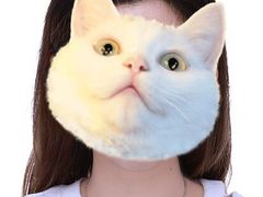 -白箱照相馆·外拍