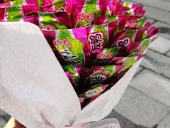 -郴州特产舜华临武鸭(郴州西站店)