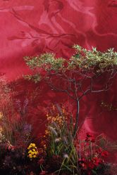 -美薇亭婚礼顾问