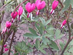 -长春公园(普阳街道)