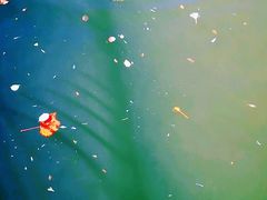 -天津东丽湖风景区