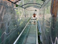 -牛鱼嘴原始生态风景区