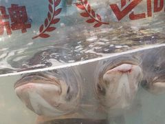 -魏铭鱼头捞饭(晋阳路店)