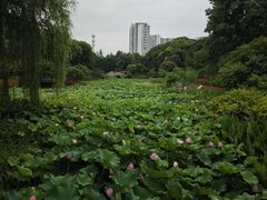 -圩墩遗址公园