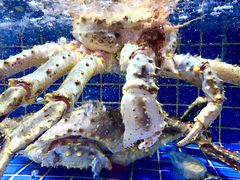 -徐记海鲜·宴会(大唐西市|丰庆店)