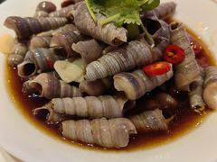 -苏大嘴蒸汽海鲜·海胆蒸饺(中山广场店)