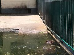 -无锡动物园·太湖欢乐园