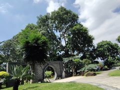 -深圳仙湖植物园