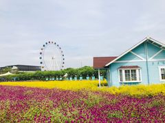 -百万葵园