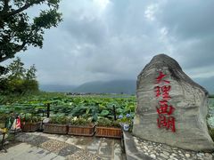 -大理洱源西湖景区