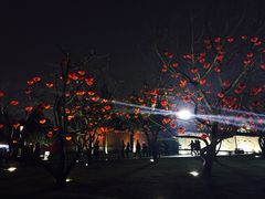 -大雁塔北广场音乐喷泉