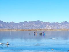-野鸭湖国家湿地公园