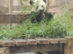 -无锡动物园·太湖欢乐园