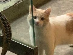 -芸山季·云南山珍菌火锅(人民广场来福士店)