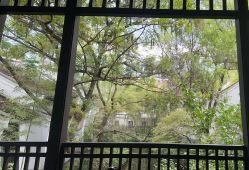 -杭州贝瑞斯美华妇儿医院·早孕·产检·儿科