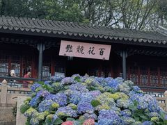 -苏州上方山国家森林公园