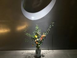 -美壹生诊所皮肤管理中心·海菲秀&Legacy美白舱