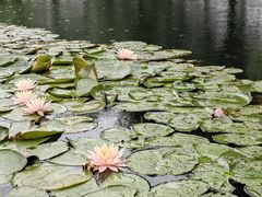 -宝岛公园