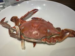-日月昇渔家菜·海肠捞饭·大连海鲜(星海公园店)