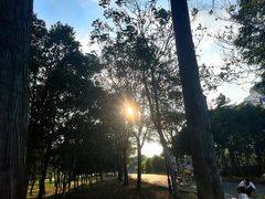 -金银湖国家城市湿地公园