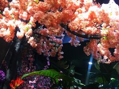 -LYFATTI 莱芙缇(赣水路店)