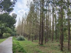 -南湖湿地公园