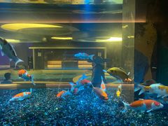 -碧涛阁·泡泡海洋·汤泉洗浴(王府花园店)