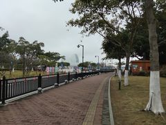 -野狸岛