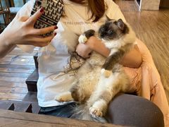 -月迷津渡(吾悦国际店)