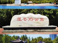 -莲花池公园