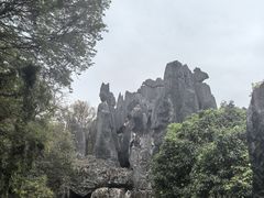 -三塔倒影公园