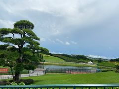 -迪茵湖田家舍生态农场