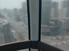 -泰盛楼顶摩天轮