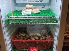 -太婆天府山珍酒楼(亚运村店)