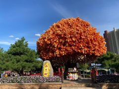 -沈阳方特欢乐世界