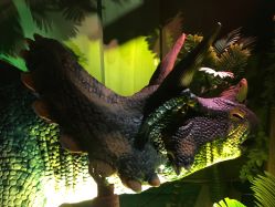 点击看大图 -恐龙探索乐园(磁器口店)