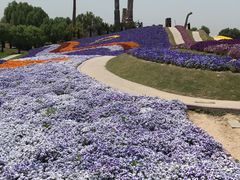 -南通洲际绿博园