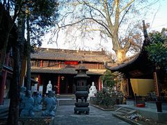 -灵谷景区