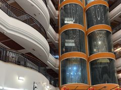 -五谷芳乳鸽王(海景店)